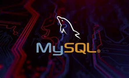 Mysql的变量介绍